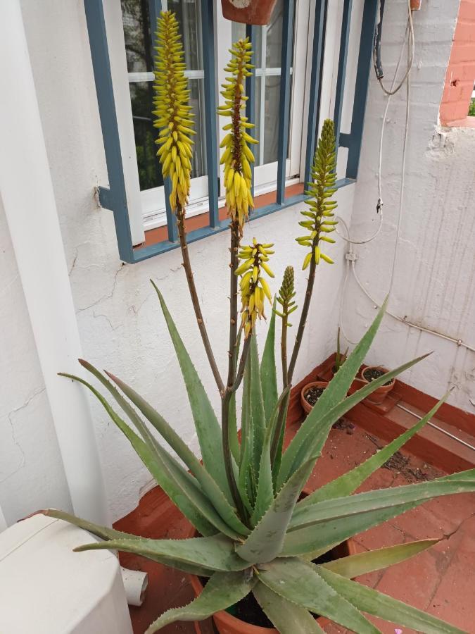 Atico Centrico Nervion Apartment Seville Luaran gambar